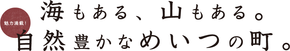 めいつについて