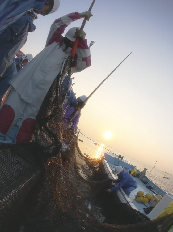 魚が活きいき。漁師も活きいき。