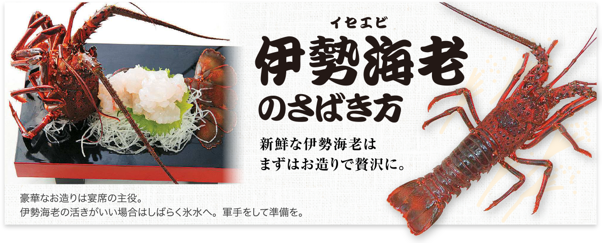 めいつについて