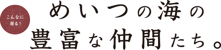 めいつについて