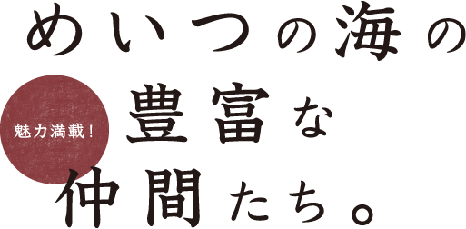 めいつについて