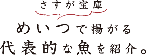 めいつで揚がる代表的な魚を紹介。