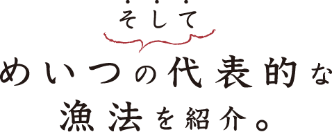 めいつの海の豊富な仲間たち。