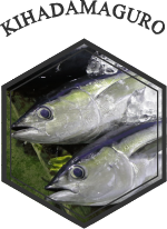 キハダ鮪