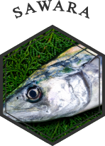 鰆(サワラ)