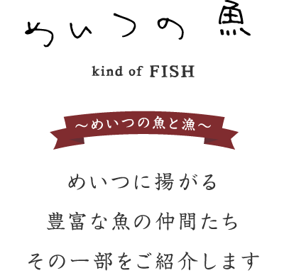 めいつについて