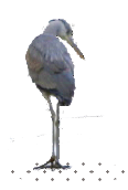 めいつについて